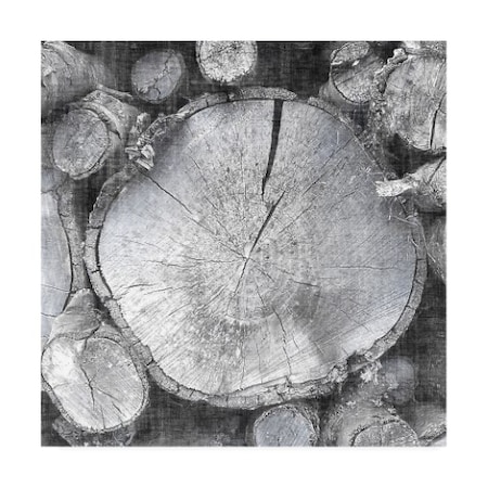 Trademark Fine Art John Butler 'Logging Light Vi' Canvas Art, 18x18 WAG11938-C1818GG